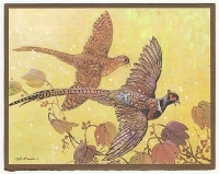 Золотые фазаны Открытка артикул 7135b.