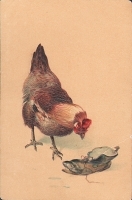 Животные (комплект из 5 открыток) артикул 7144b.